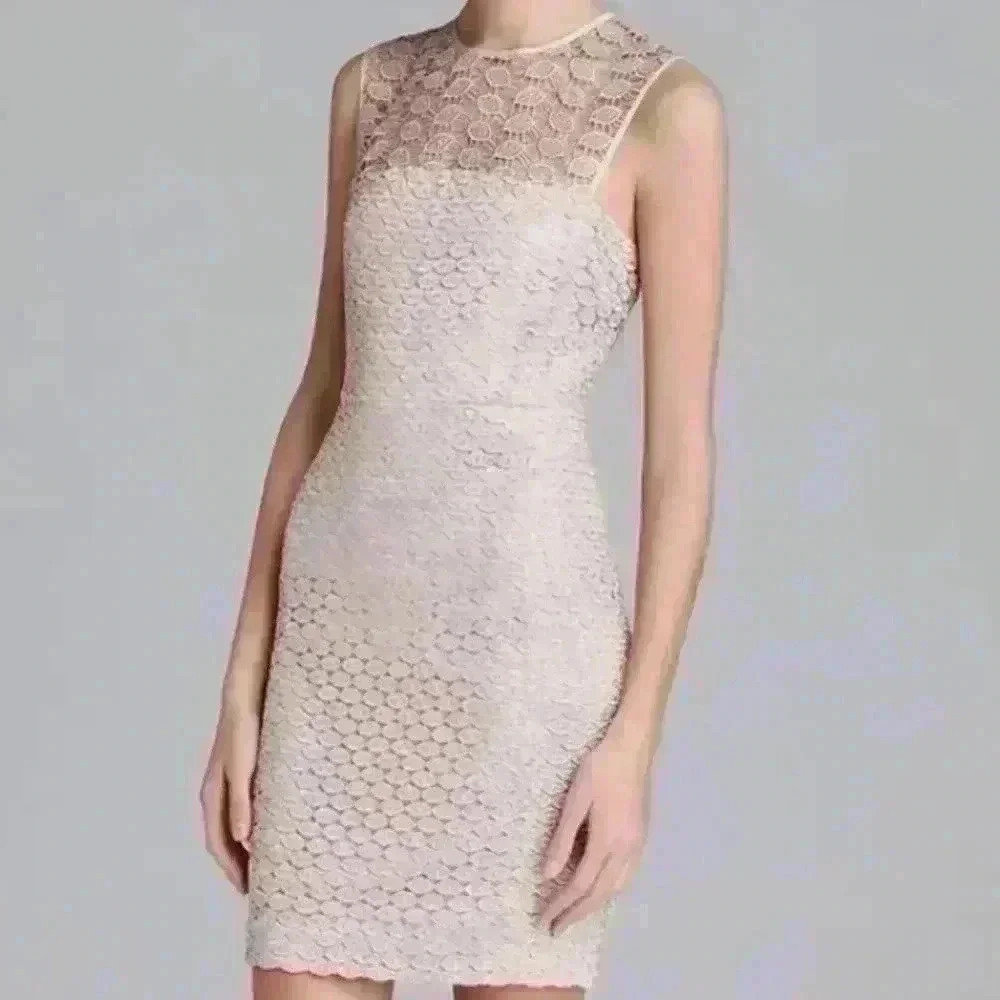 Diane Von Furstenberg DVF Kinchu SG Lace Nude Illusion Yoke Sheath Dress
